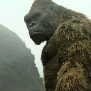 Kong: Skull Island - galeria zdjęć - filmweb