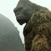Terry Notary w Kong: Wyspa Czaszki