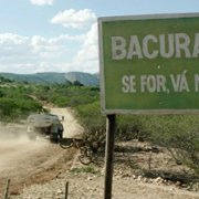 Bacurau - galeria zdjęć - filmweb