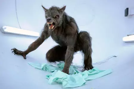 Być człowiekiem - galeria zdjęć - filmweb