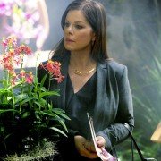 Trophy Wife - galeria zdjęć - filmweb