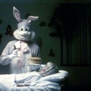 Cabin Fever - galeria zdjęć - filmweb