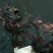 Cabin Fever - galeria zdjęć - filmweb