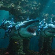 Aquaman - galeria zdjęć - filmweb
