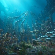 Aquaman - galeria zdjęć - filmweb
