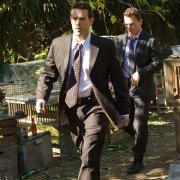 Southland - galeria zdjęć - filmweb