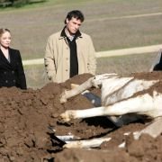 Eleventh Hour - galeria zdjęć - filmweb