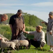 (Nie)Poradnik Turystyczny - galeria zdjęć - filmweb