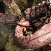 Dead or Alive 6 - galeria zdjęć - filmweb
