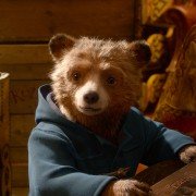 Paddington 2 - galeria zdjęć - filmweb