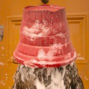 Paddington 2 - galeria zdjęć - filmweb
