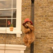 Paddington 2 - galeria zdjęć - filmweb