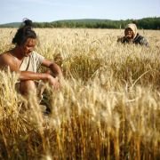 Mai tian - galeria zdjęć - filmweb