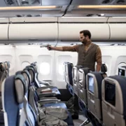 Fight or Flight - galeria zdjęć - filmweb