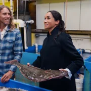 With Love, Meghan - galeria zdjęć - filmweb