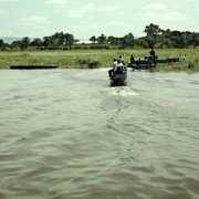 Viva Riva! - galeria zdjęć - filmweb