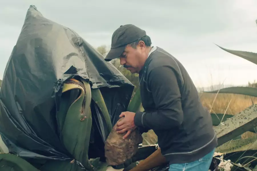 Kroniki taco - galeria zdjęć - filmweb