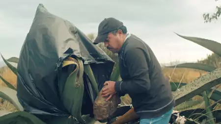 Kroniki taco - galeria zdjęć - filmweb