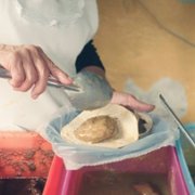 Kroniki taco - galeria zdjęć - filmweb