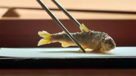 Kroniki taco - galeria zdjęć - filmweb