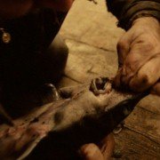 Miruna - galeria zdjęć - filmweb