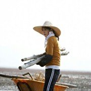 Sik Gaek : Kimchi Jeon Jaeng - galeria zdjęć - filmweb
