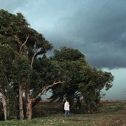 Notturno - galeria zdjęć - filmweb