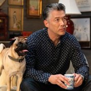 Clifford. Wielki czerwony pies - galeria zdjęć - filmweb