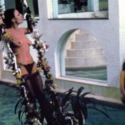 Ogier - galeria zdjęć - filmweb