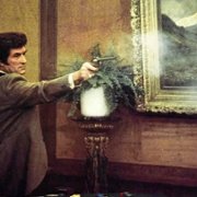 The Shootist - galeria zdjęć - filmweb