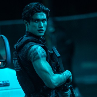 Rafe