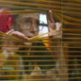 Węże i drabiny - galeria zdjęć
