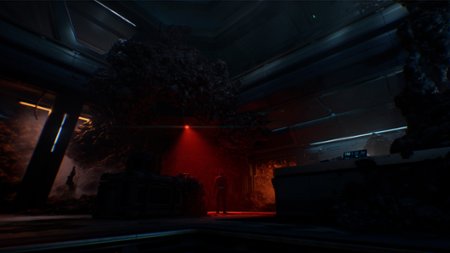 Recenzja Directive 8020