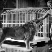 The Great Sandow