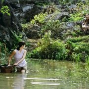 Córka botanika - galeria zdjęć - filmweb