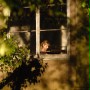 Weronika postanawia umrzeć - galeria zdjęć