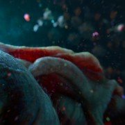 Miazmat - galeria zdjęć - filmweb