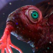 Miazmat - galeria zdjęć - filmweb