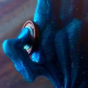 Miazmat - galeria zdjęć - filmweb