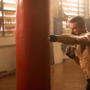 Boyka: Undisputed IV - galeria zdjęć - filmweb