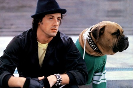 Recenzja Rocky 2