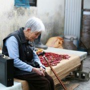 Do-ga-ni - galeria zdjęć - filmweb