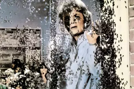 Rój - galeria zdjęć - filmweb