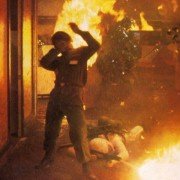 The Swarm - galeria zdjęć - filmweb