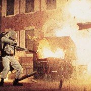 The Swarm - galeria zdjęć - filmweb