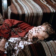 The Swarm - galeria zdjęć - filmweb