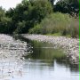 Afrykańska przygoda 3D - safari nad Okavango - galeria zdjęć