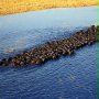 Afrykańska przygoda 3D - safari nad Okavango - galeria zdjęć