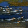 Afrykańska przygoda 3D - safari nad Okavango - galeria zdjęć