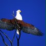 Afrykańska przygoda 3D - safari nad Okavango - galeria zdjęć